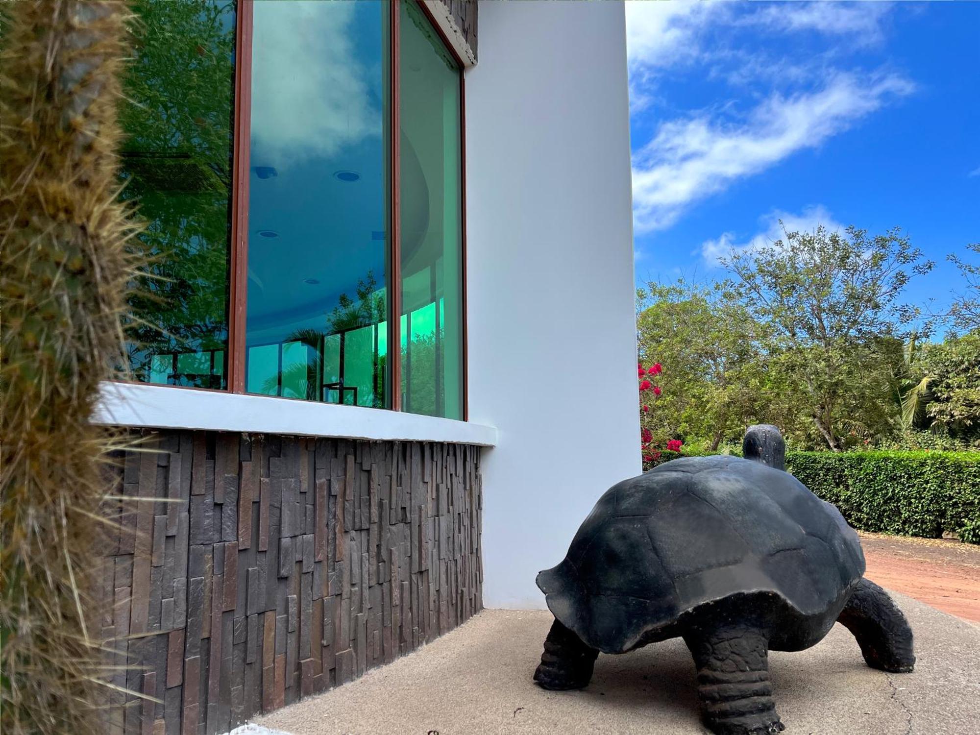 Hotel Galápagos Tortuga Puerto Ayora  Exterior foto